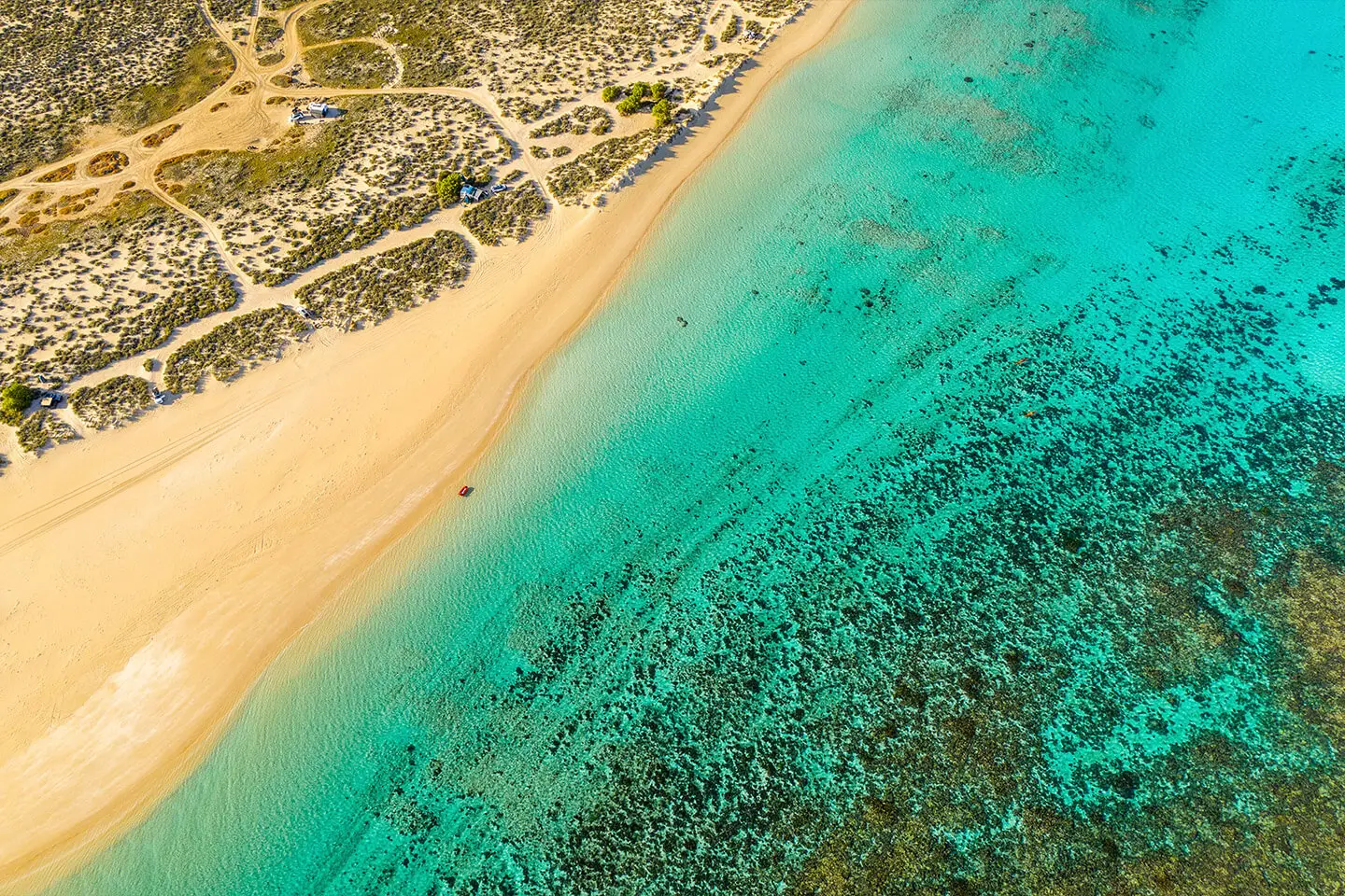 Coral Coast