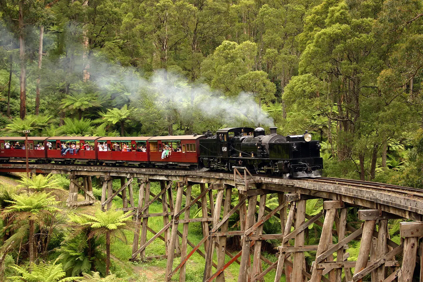 Dandenong Ranges