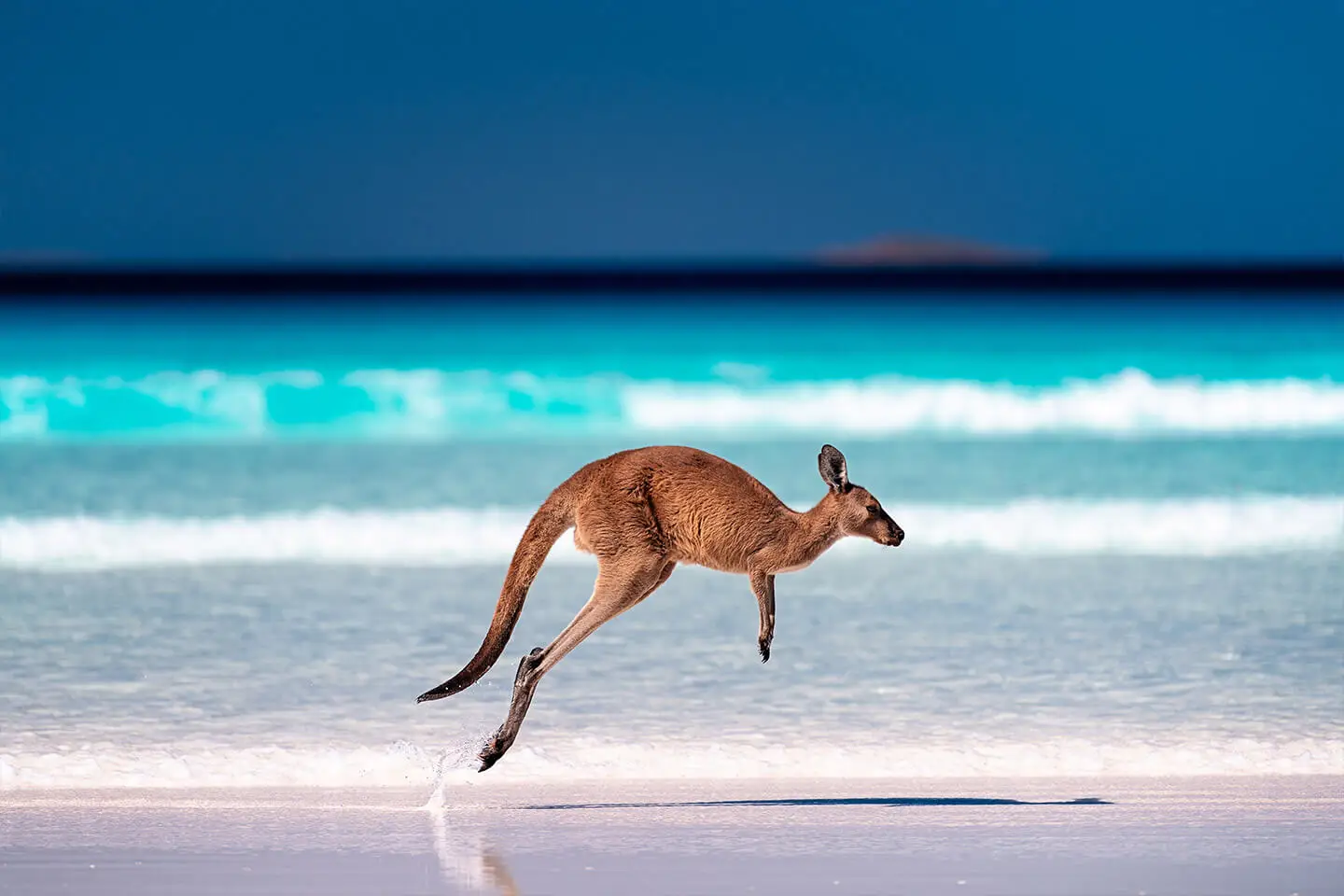 Esperance