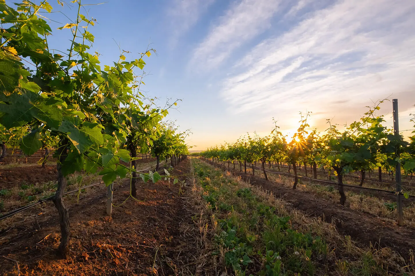 Hunter Valley