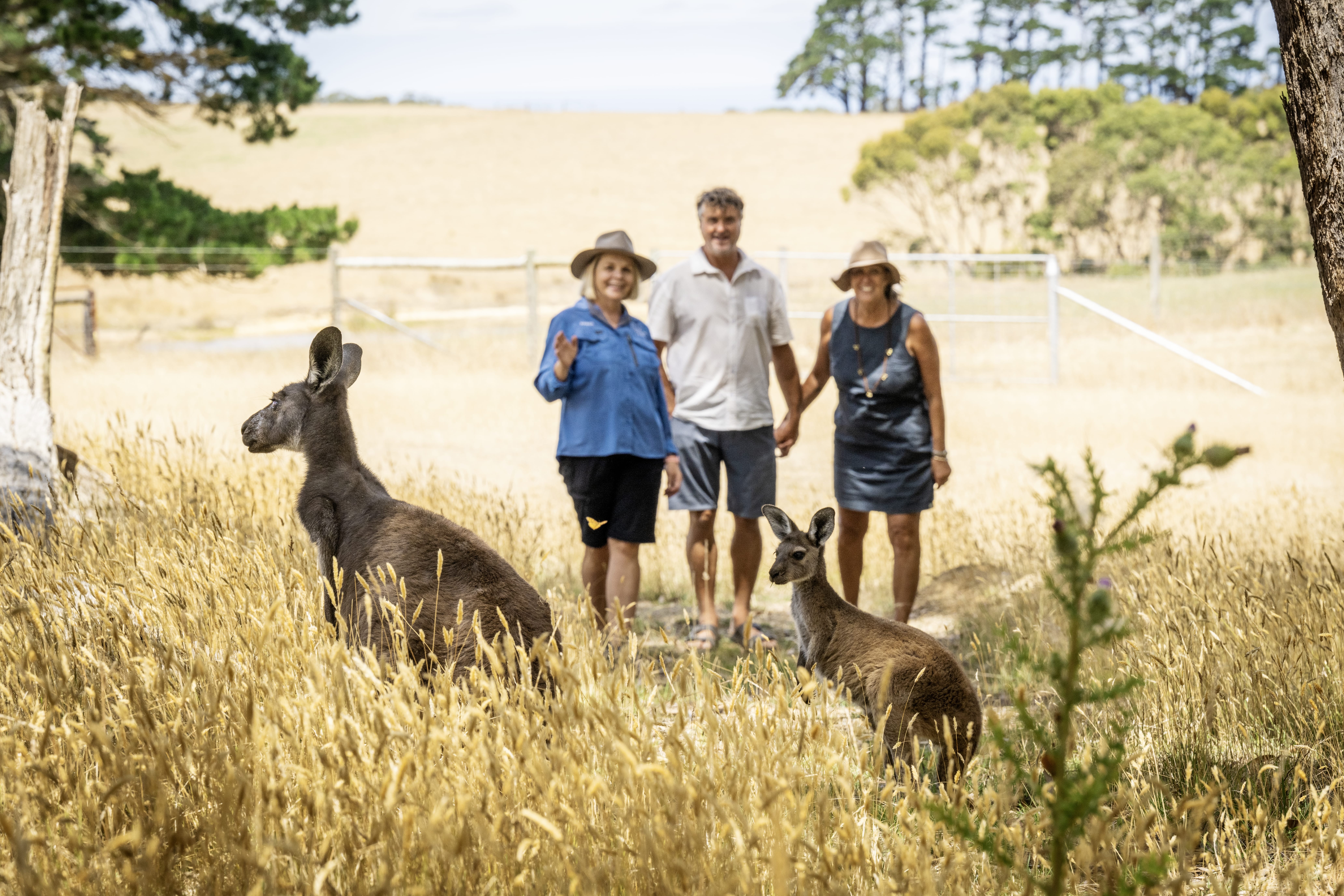 28 Day Australia and New Zealand Discover Down Under Highlights Tour