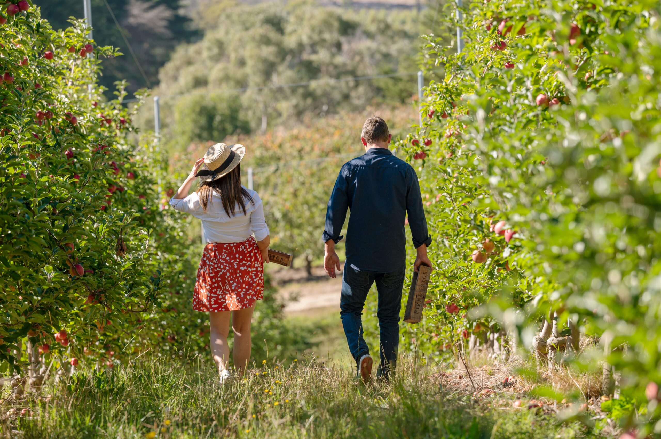 6 Day Best of Adelaide & Wine tour