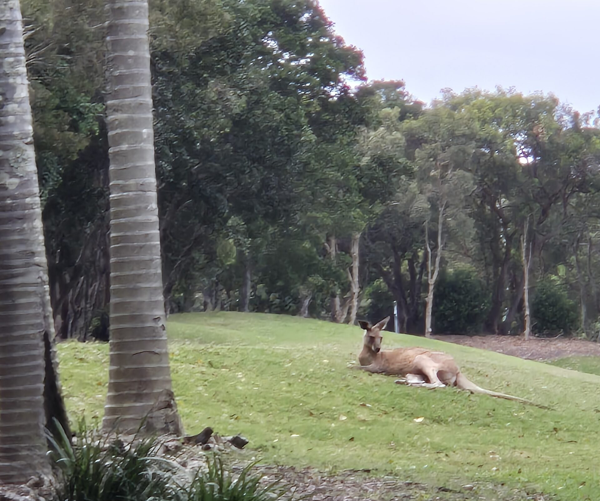 18 Days Australia & New Zealand: Diverse Landscapes Down Under